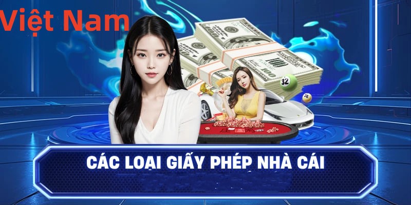 Hình ảnh quảng cáo của qqlive hiển thị nền tảng và các lợi ích